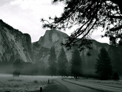 Yosemite National Park