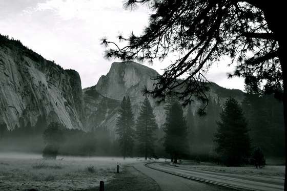 Yosemite National Park