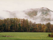 Great Smoky Mountain