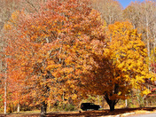 Great Smoky Mountains National Park