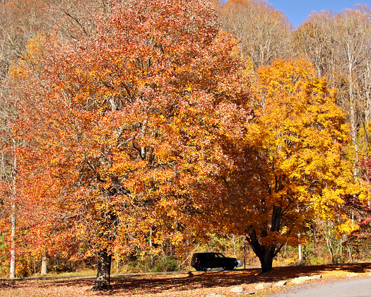 Great Smoky Mountains National Park