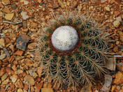 Washington Slagbaai National Park 