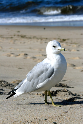 Cape Cod National Seashore