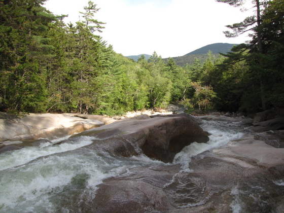 White Mountains National Forrest