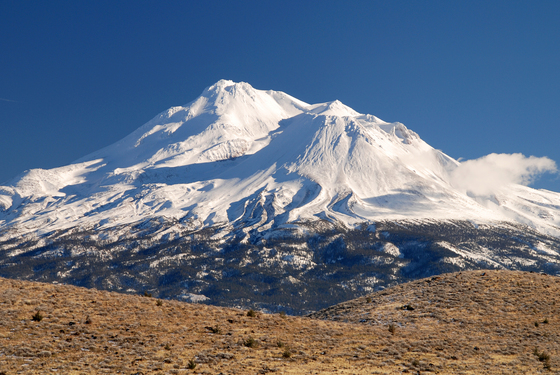 Mount Shasta Wilderness, Shasta-Trinity National Forest