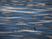 Acadia National Park