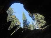 Sequoia-Kings Canyon National Park