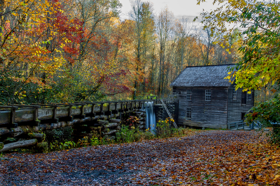 Smokey Mountains National Park