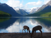 Glacier National Park