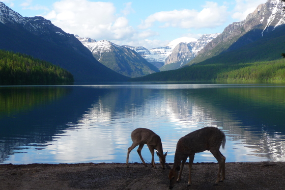 Glacier National Park