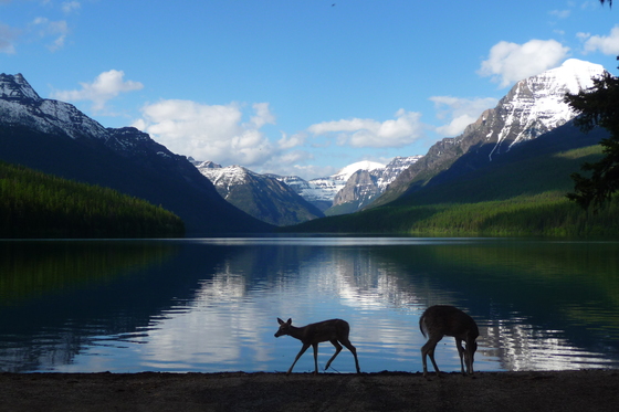 Glacier National Park