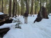 Yosemite National Park