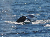 Cape Cod National Seashore