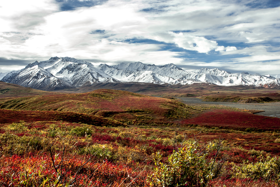Denali National Park