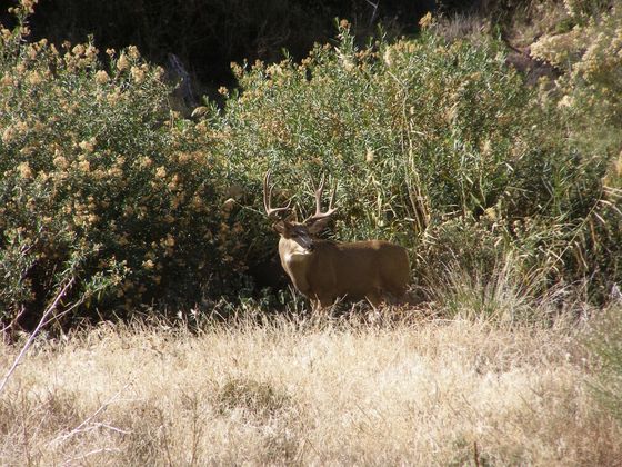 Zion National Park