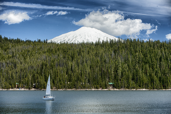 Deschutes National Forest
