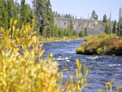 Yellowstone National Park