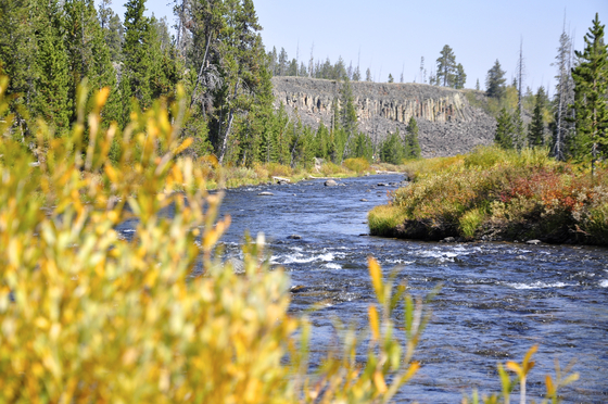 Yellowstone National Park