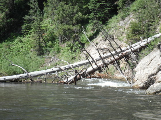 Silver Creek Plunge