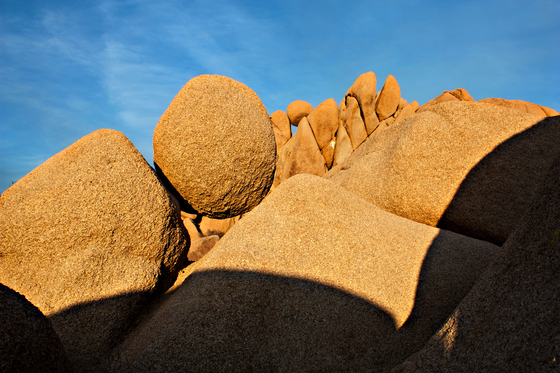 Joshua Tree National Park