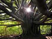 Haleakala National Park