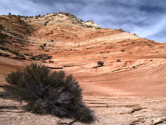 Zion National Park