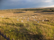 Little Bighorn Battlefield National Monument