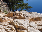 Grand Teton National Park