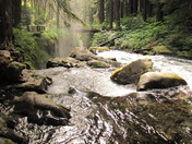 Olympic National Park