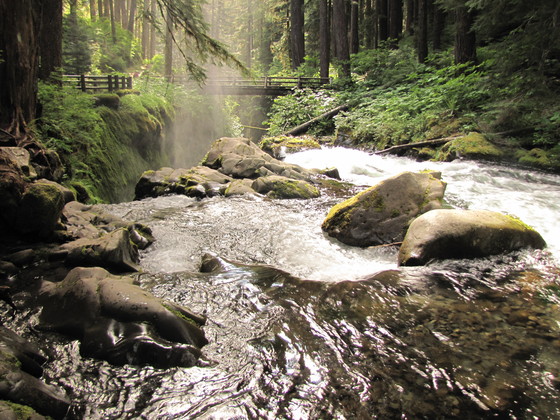 Olympic National Park