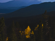 Rocky Mountain National Park