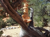 Dixie National  Forest