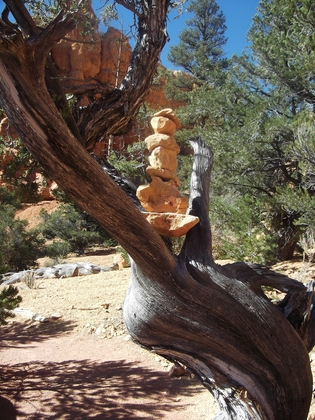 Dixie National  Forest
