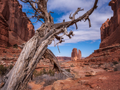 Arches National Park