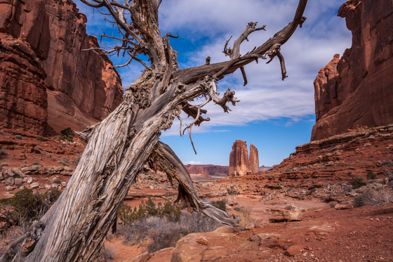 Arches National Park