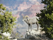 Grand Canyon National Park