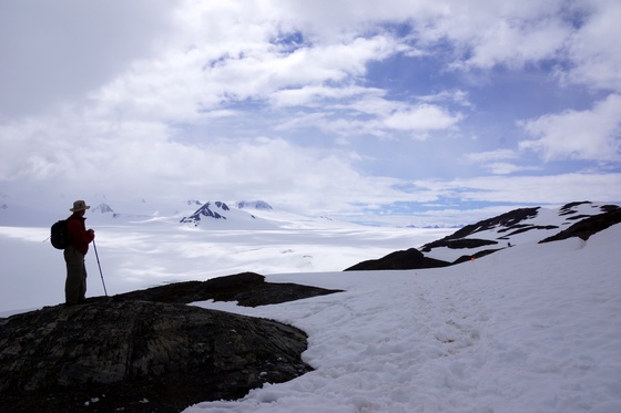Kenai Fjords National Park