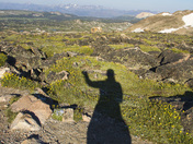 Shoshone National Forest