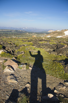 Shoshone National Forest