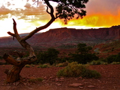 Capitol Reef National Park