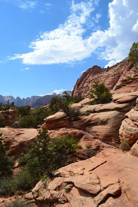 Zion National Park