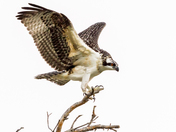 Arapaho National Recreation Area