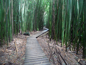 Haleakala National Park