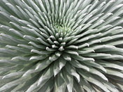 Haleakala National Park