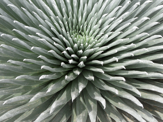 Haleakala National Park