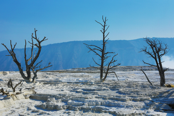 Yellowstone National Park