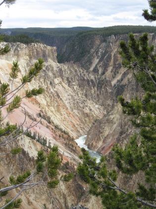 Yellowstone