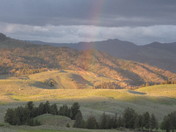 YELLOWSTONE NATIONAL PARK