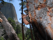 Devils Tower N.M.
