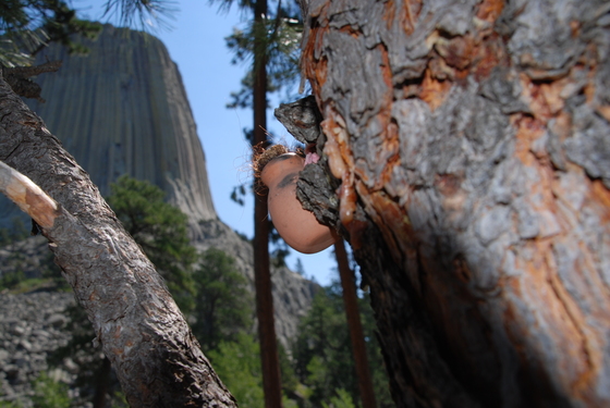 Devils Tower N.M.